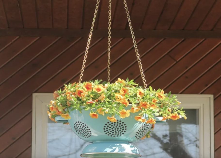 blue colander hanging flower basket